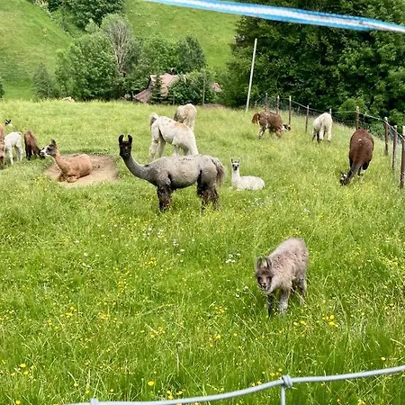 „wildpark Baren“ 2.3. * Wildhaus